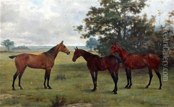 Portrait Of Three Horses In A Field Oil Painting - George Goodwin Kilburne