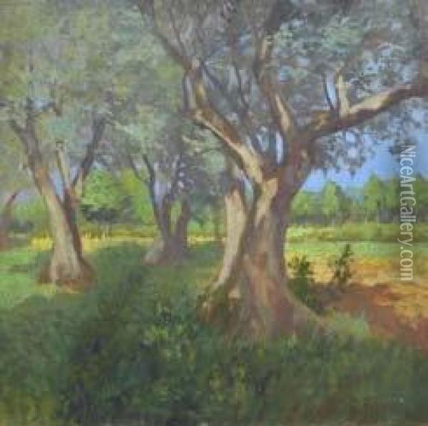 Oliveta Oil Painting - Ruggero Focardi