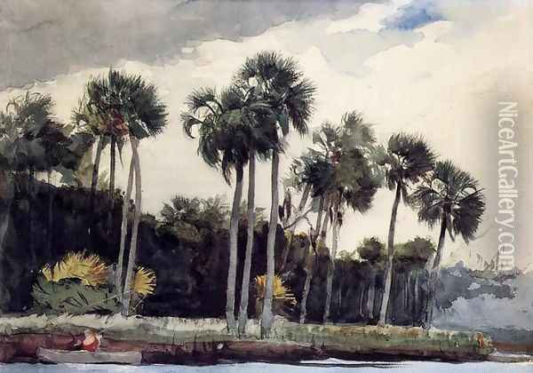 Red Shirt, Homosassa, Florida Oil Painting - Winslow Homer