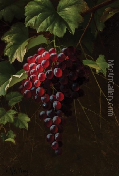 Grapes On The Vine Oil Painting - Andrew John Henry Way