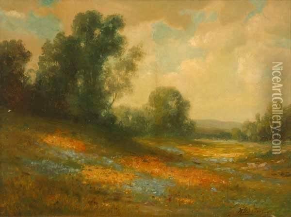 Landscape Eucalyptus And Flowerfield S L/r: H. Gustavson O/b 18x24 Oil Painting - Herman, Henry Gustavson