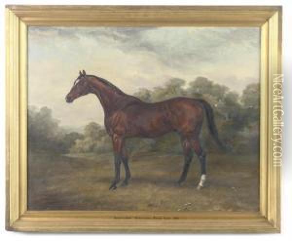 Rosewindow - A Hunter In A Paddock Oil Painting - G.D. Giles
