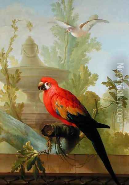 A Macaw and a Dove in an ornamental Garden Oil Painting - Gerrit van den Heuvel