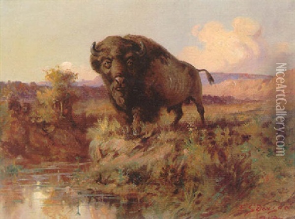 Lone Buffalo Oil Painting - Edgar Samuel Paxson