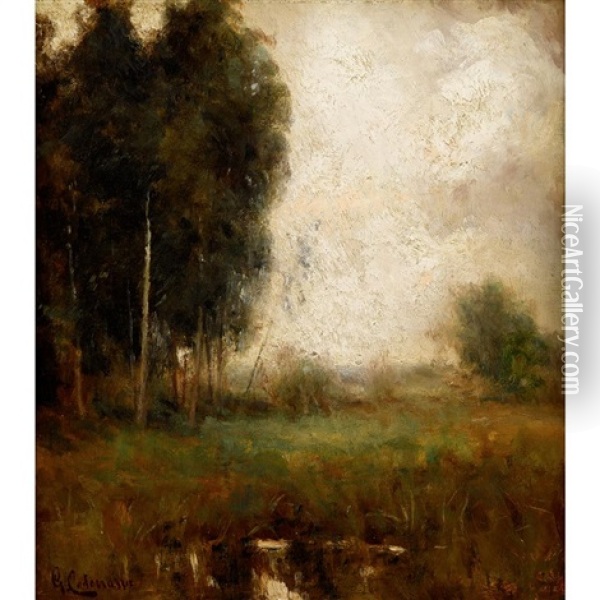 Spring Landscape With Marsh Oil Painting - Giuseppe Cadenasso