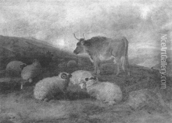 Sheep, Cattle And Goats In A Moorland Landscape Oil Painting - Charles Jones