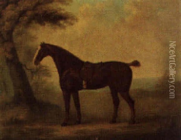 A Cob Belonging To King George Iii Oil Painting - John Nost Sartorius