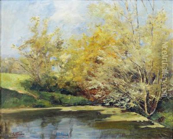 Teichlandschaft Oil Painting - Elisabeth Jordis Von Attems