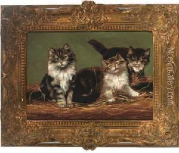 Three Kittens Oil Painting - Arthur Batt