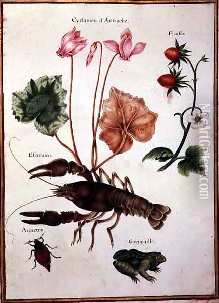 Cyclamen, Alpine Strawberry, a Lobster and a Frog Oil Painting - Nicolas Robert