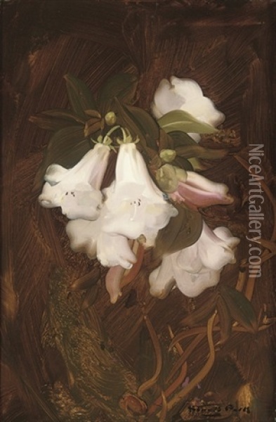 Still Life With Flowers Oil Painting - Stuart James Park
