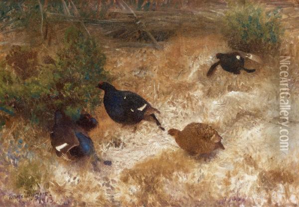 Black Grouse Oil Painting - Bruno Andreas Liljefors