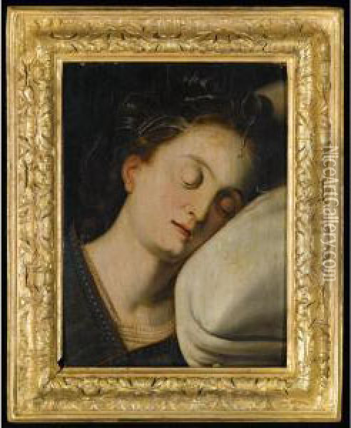 The Head Of A Sleeping Woman Oil Painting - Frans I Vriendt (Frans Floris)