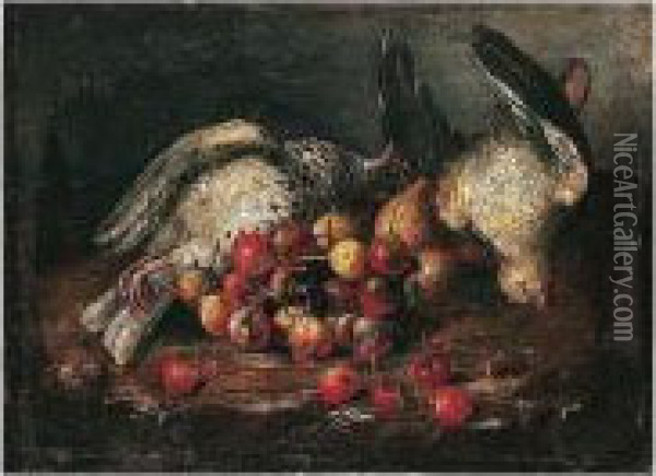 Still Life Of Cherries, Pears And Pigeon Oil Painting - Felice Boselli Piacenza
