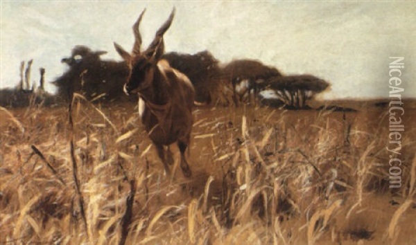 An Antelope In The Savannah Oil Painting - Wilhelm Friedrich Kuhnert