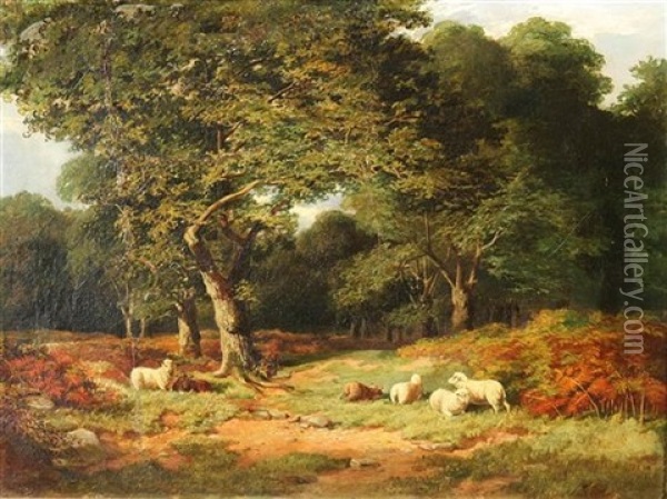 Sheep Resting On The Edge Of Leigh Woods Oil Painting - James Jackson Curnock