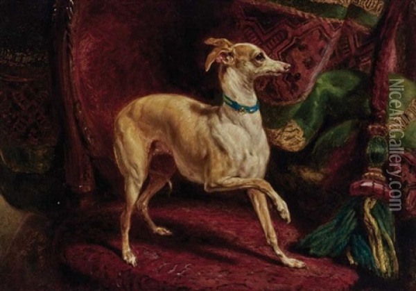 An Italian Greyhound On A Chair Oil Painting - Samuel John Carter