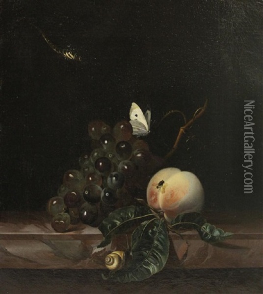 Still Life With Grapes, A Peach, A Fly, A Cabbage-white, A Snail And A Dragonfly Oil Painting - Willem Van Aelst