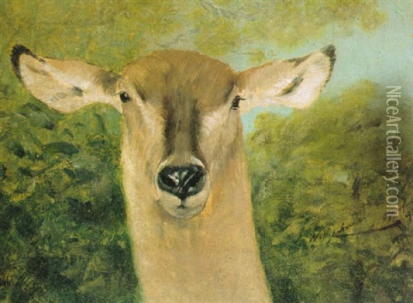 Head Of An Antelope Oil Painting - Wilhelm Friedrich Kuhnert