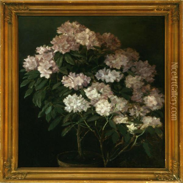 White Rhododendron Oil Painting - Laura Buschard Guldbrandsen