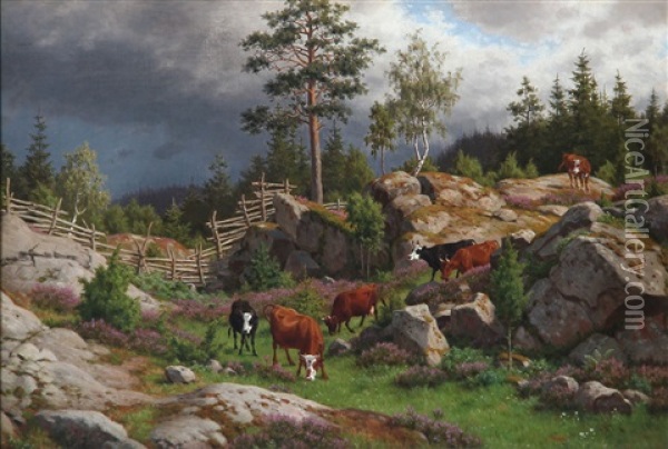Heather And Rocky Slope With Grazing Cows In Smaland, Sweden Oil Painting - Carl Henrik Bogh