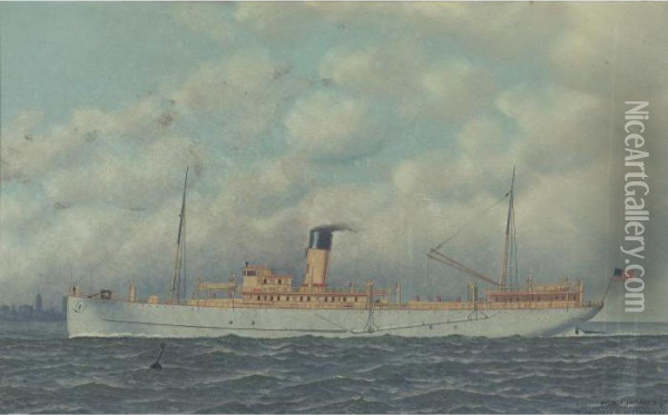 American Steamship Off New York Oil Painting - Antonio Nicolo Gasparo Jacobsen