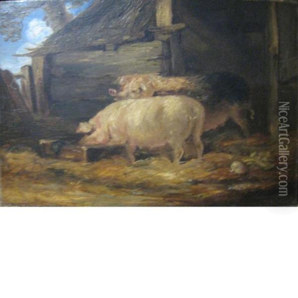 Two Sows Oil Painting - James Ward
