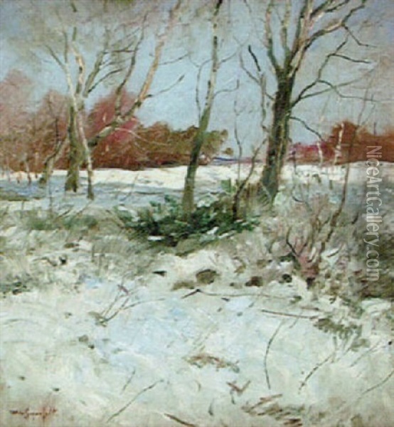 Soligt Vinterlandskap Oil Painting - Wilhelm von Gegerfelt