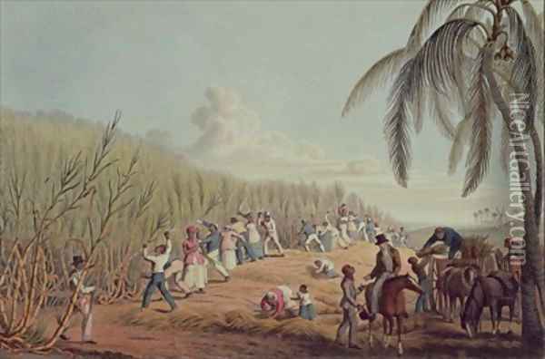 Slaves Fell the Ripe Sugar Antigua Oil Painting - William Clark