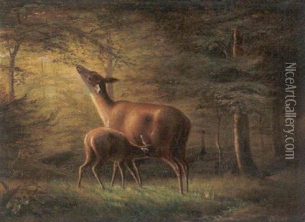 Reh Mit Kitz Im Wald Oil Painting - Carl Friedrich Deiker