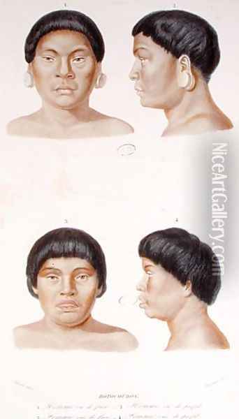 Anthropometric study of two Botocudos indians, engraved by Fournier, mid 19th century Oil Painting - Werner