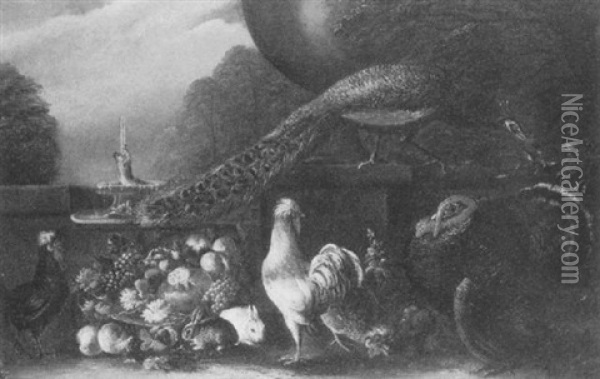 A Turkey, A Peacock, Fowl And Rabbits Beside A Basket Of Fruit In An Ornamental Garden Oil Painting - David de Coninck