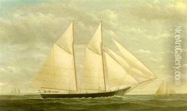 Yacht In Full Sail Oil Painting - James Gardner Babbidge