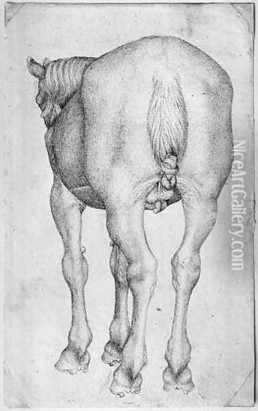 Horse, from the The Vallardi Album Oil Painting - Antonio Pisano (Pisanello)