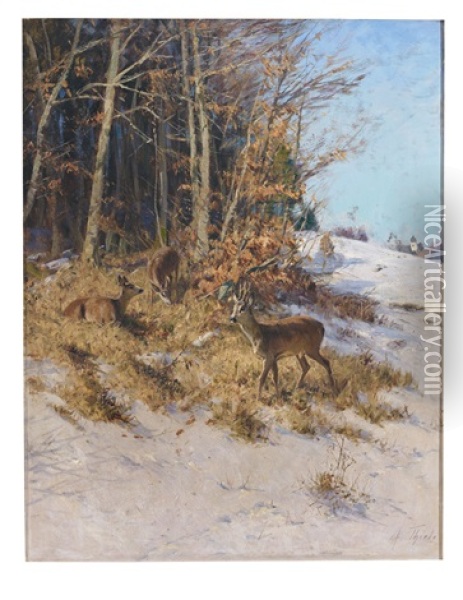 Rehe Im Spatherbst Oil Painting - Arthur (Julius) Thiele