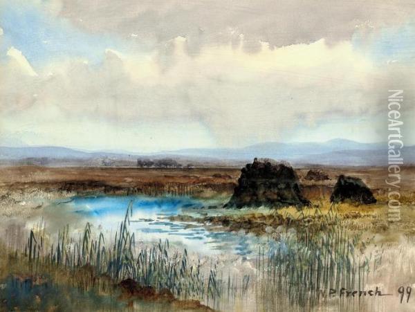 Connemara Bog Oil Painting - William Percy French