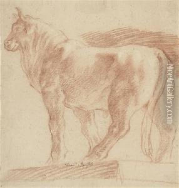 Study Of A Statue Of A Bull Oil Painting - Francis, Francesco Smith