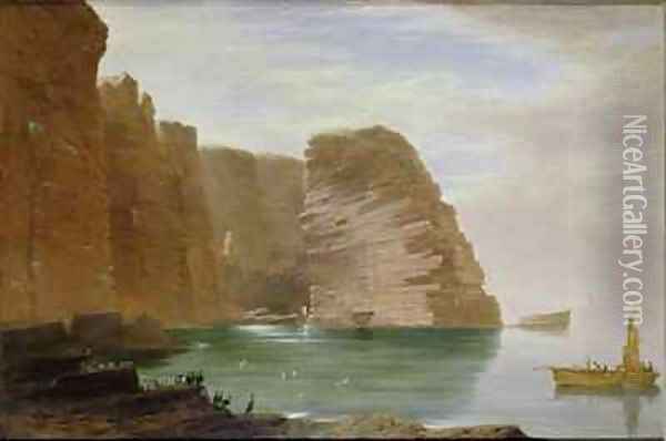 Island of Handa West Coast of Sutherland Oil Painting - James William Giles