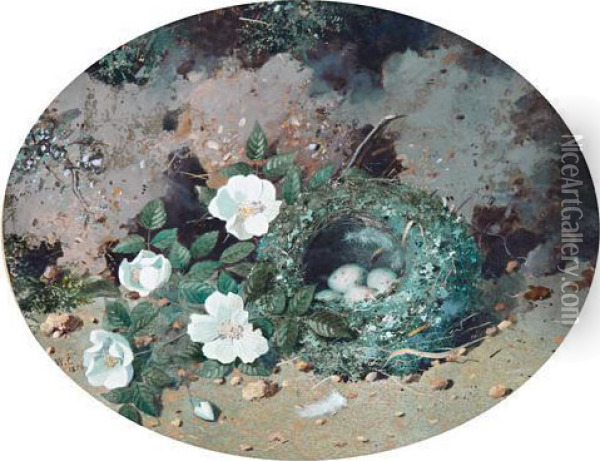 Still Lifes Of Flowers And Birds' Nests Oil Painting - William Cruickshank