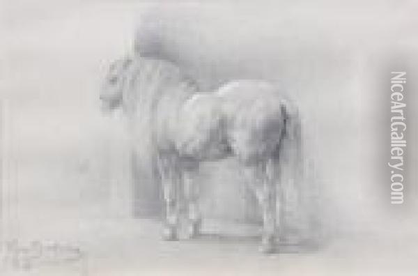 Shire Horse Oil Painting - Rosa Bonheur