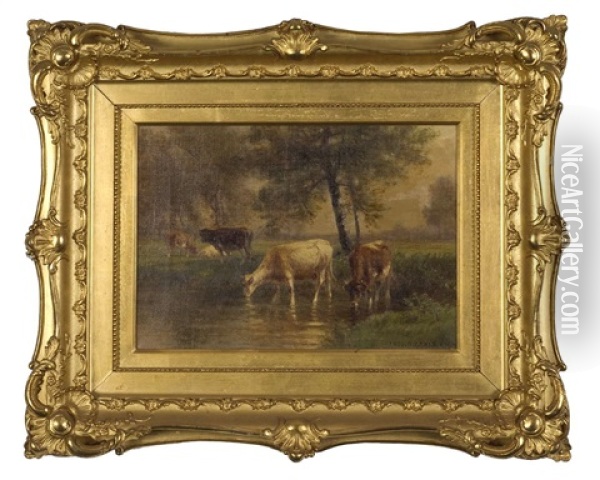 Cows Watering In A Stream Oil Painting - Thomas Bigelow Craig