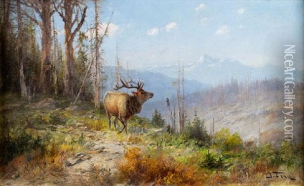 Glacier Park Elk By John Fery Oil Painting - John Fery