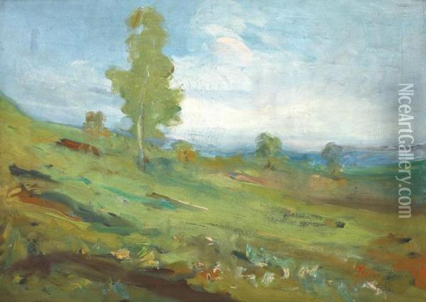 Pastoral Landscape Oil Painting - Ion Tincu