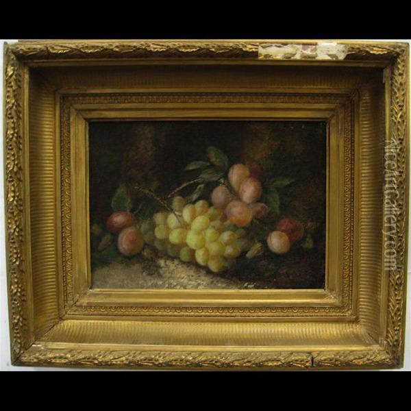 Still Life (grapes And Plums) Oil Painting - Joseph Clare