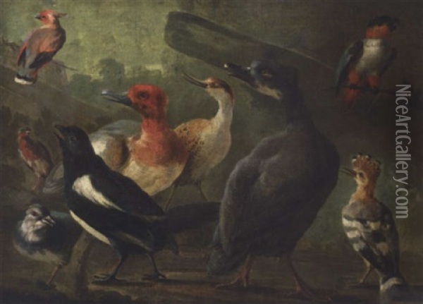 A Landscape With A Black-capped Caique Parrot, A Hoopoe, A Magpie And Other Birds Oil Painting - Jakob Bogdani