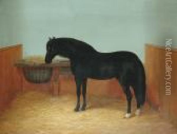 A Black Pony In A Stable Oil Painting - William Henry Hamilton Trood