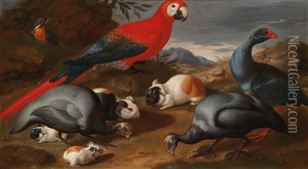 Ein Stillleben Mit Einem Papagei Oil Painting - Jacob van der Kerckhoven