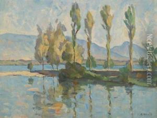 Vue Du Lac Depuis Versoix Oil Painting - Arthur Morard