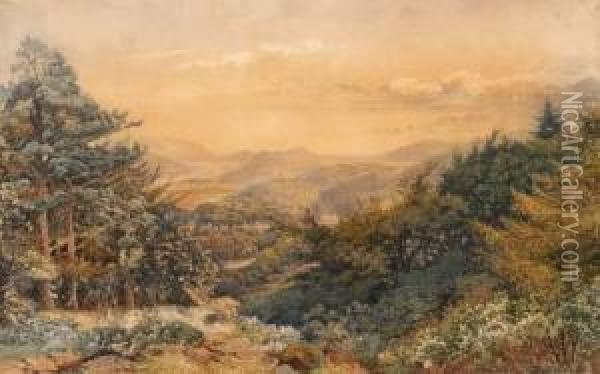 View Over Scottish Woodland Towards The Coast Oil Painting - William Turner