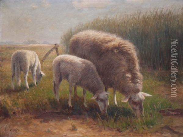 Ooi Met Lammetjes In Lentelanschap Oil Painting - Fedor Van Kregten